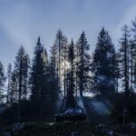 አርታዒ እና የድህረ ገጹ አስተዳዳሪ