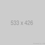 አርታዒ እና የድህረ ገጹ አስተዳዳሪ