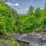 አርታዒ እና የድህረ ገጹ አስተዳዳሪ