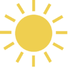 አርታዒ እና የድህረ ገጹ አስተዳዳሪ